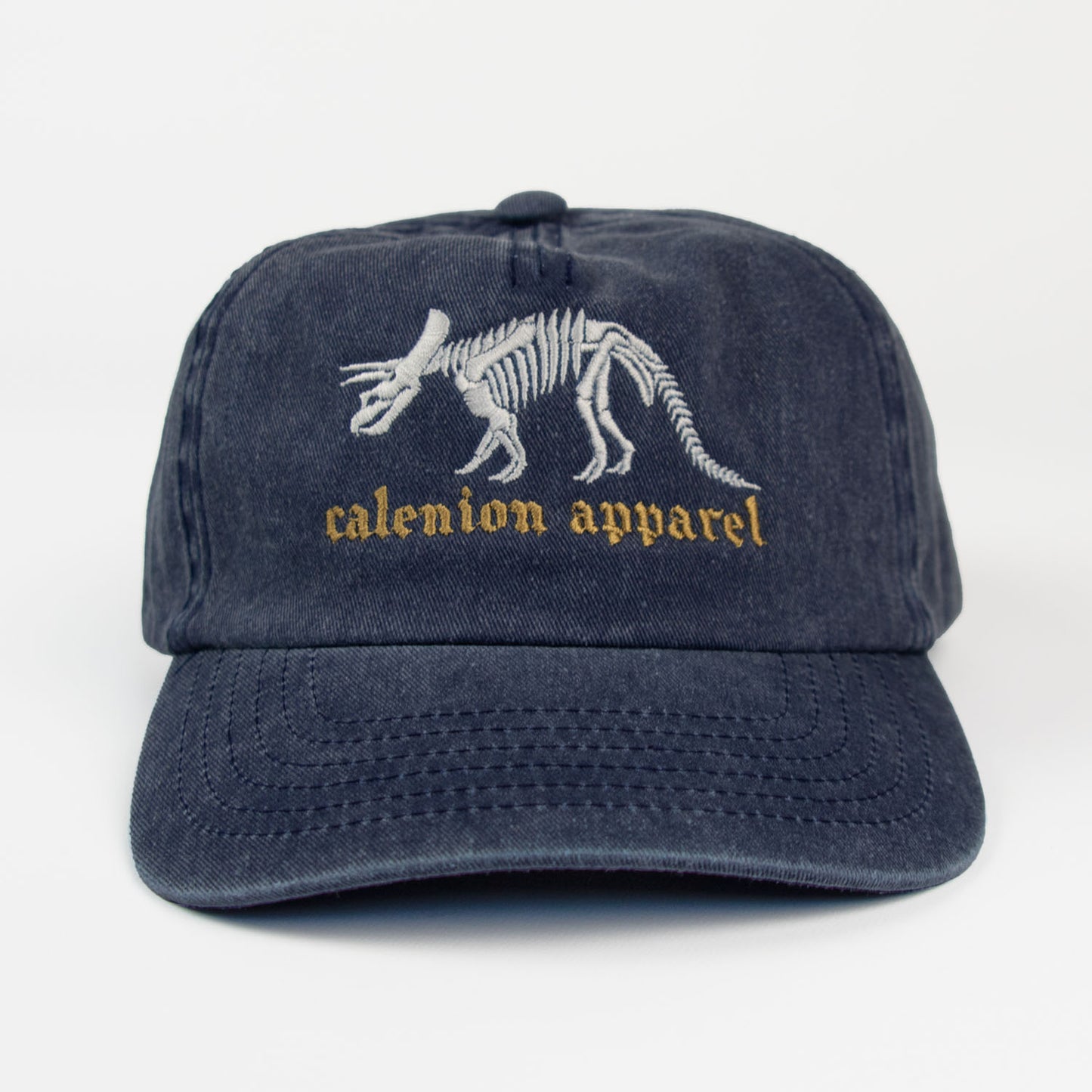 Triceratops Skeleton Vintage Cap
