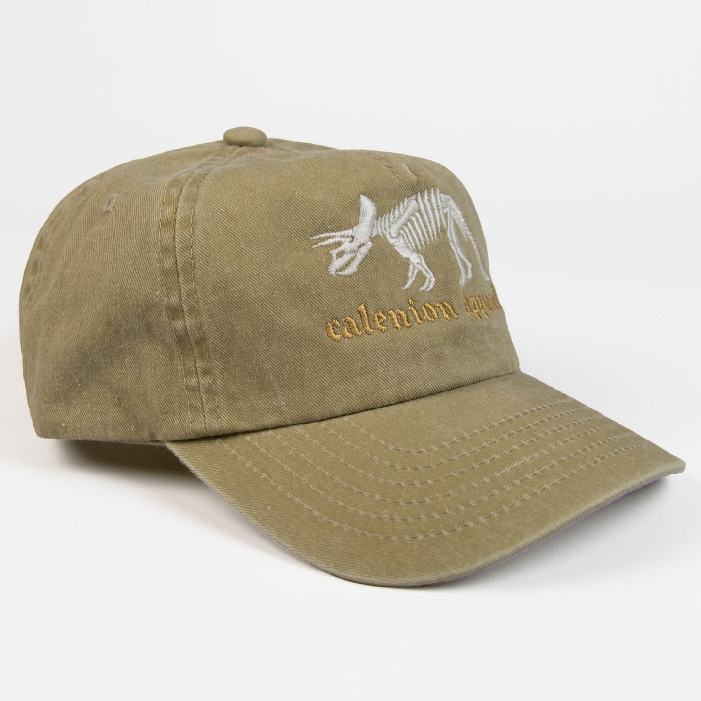 Triceratops Skeleton Vintage Cap