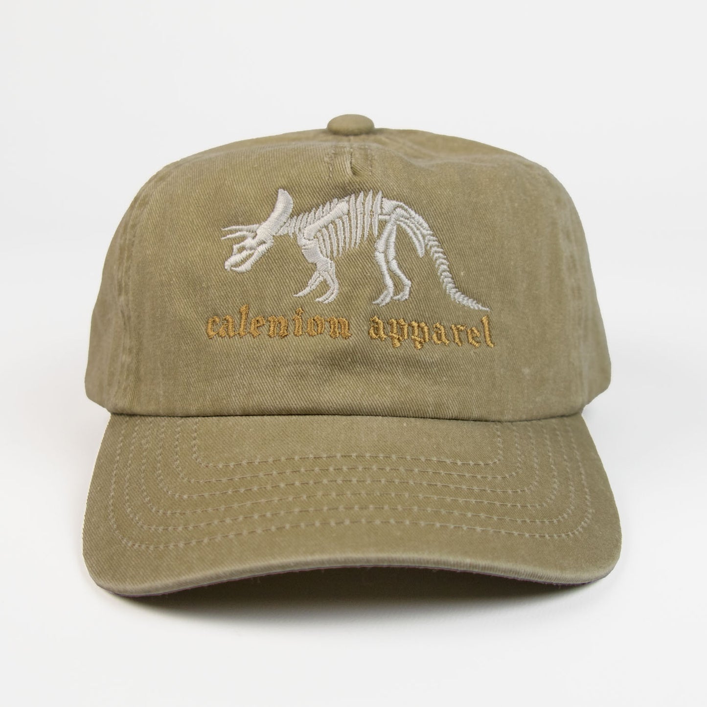Triceratops Skeleton Vintage Cap