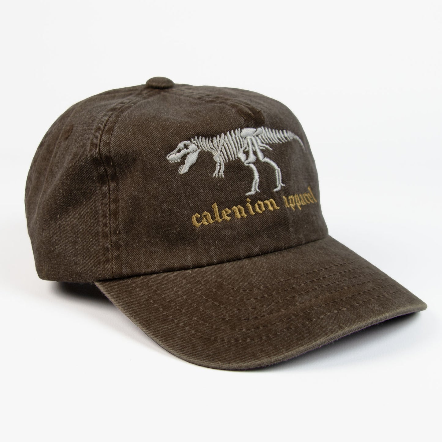 T-Rex Skeleton Vintage Cap