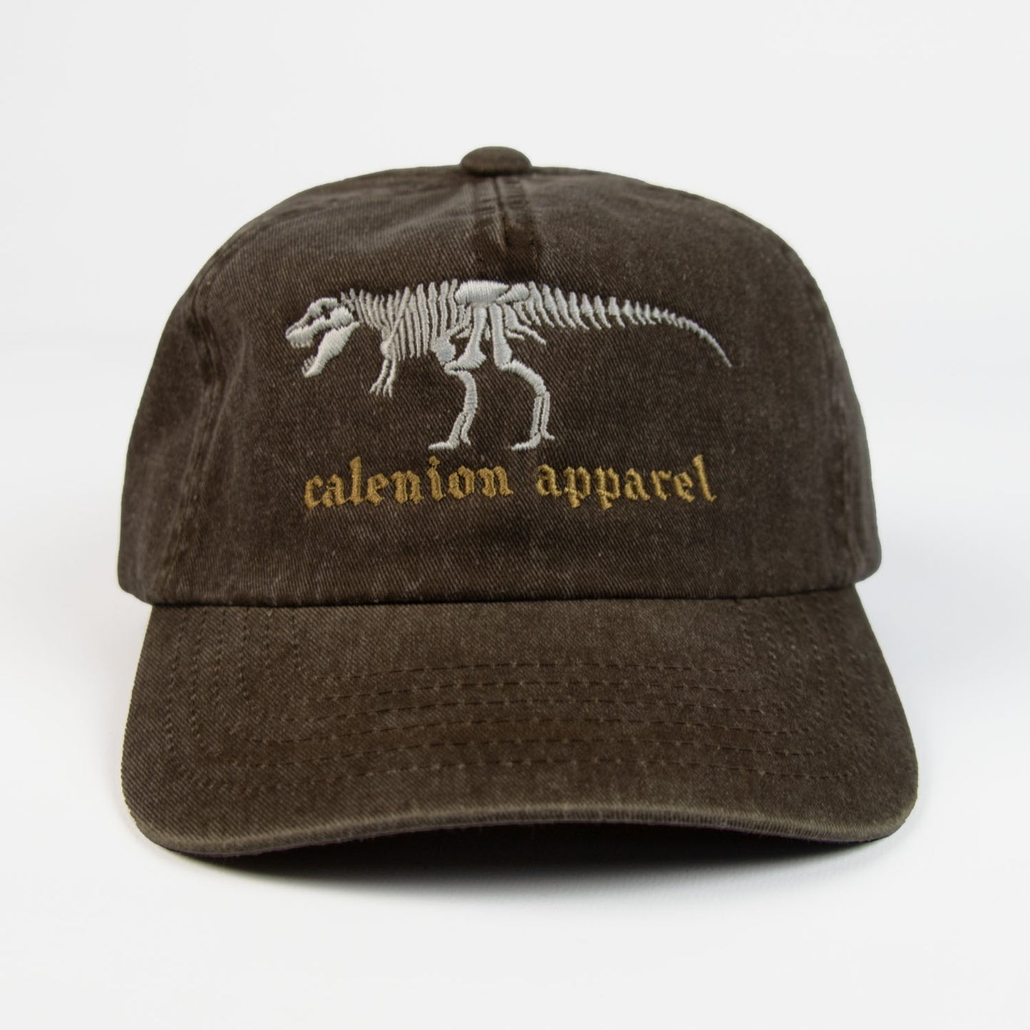 T-Rex Skeleton Vintage Cap