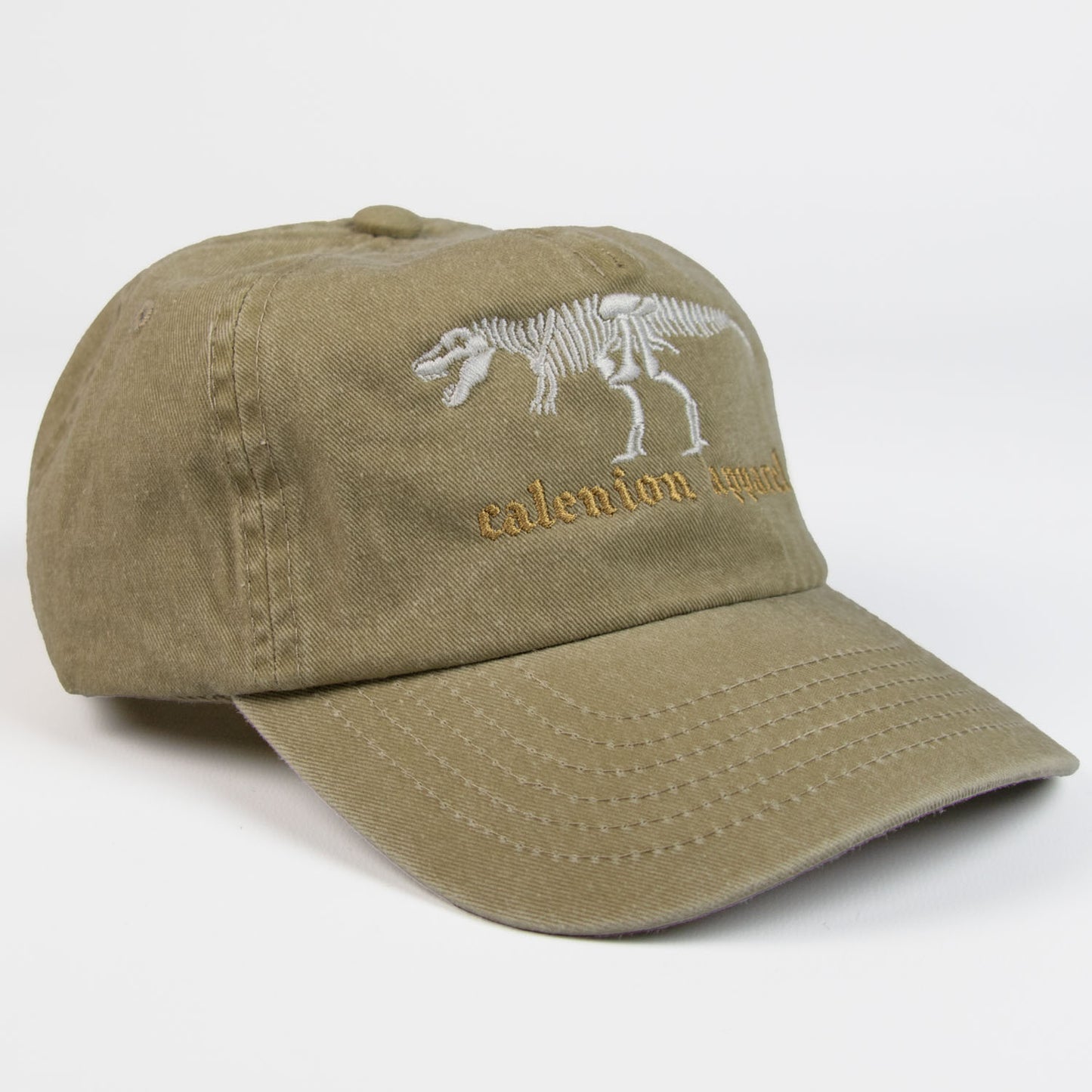 T-Rex Skeleton Vintage Cap