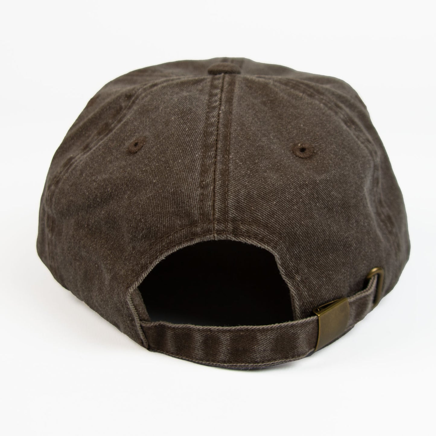Triceratops Skeleton Vintage Cap