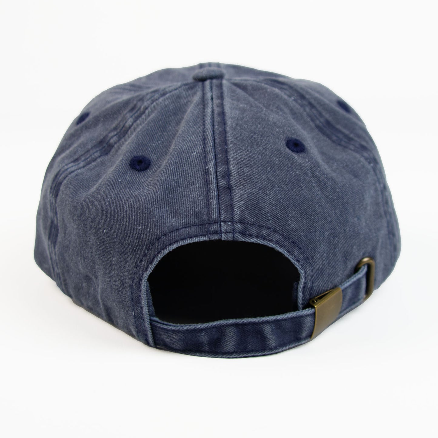 Triceratops Skeleton Vintage Cap
