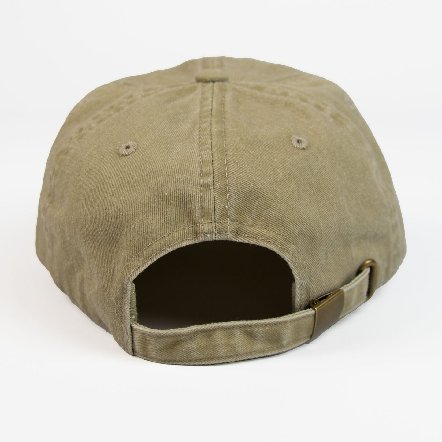 Triceratops Skeleton Vintage Cap