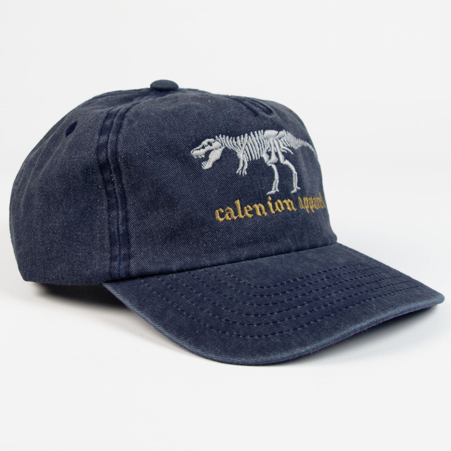 T-Rex Skeleton Vintage Cap