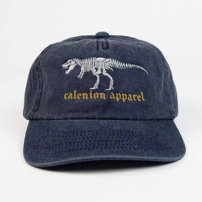 T-Rex Skeleton Vintage Cap