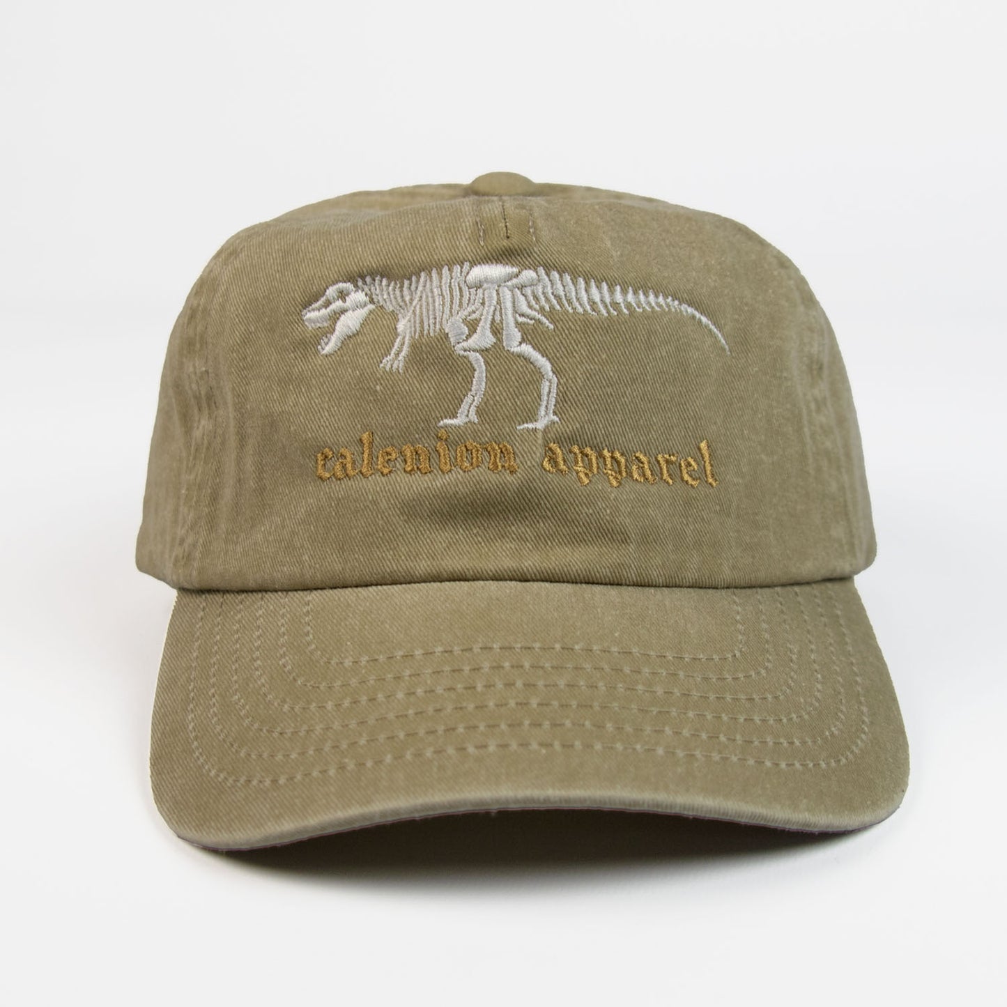T-Rex Skeleton Vintage Cap